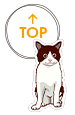 先頭へ戻る